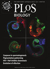 PLOS BIOLOGY封面